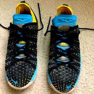 Lebron James Nike basketball sneakers